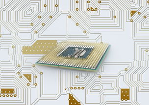 开云体育app入口-中国篮球联赛品牌建设策略与粉丝经济发展路径研究，篮球品牌市场占有率